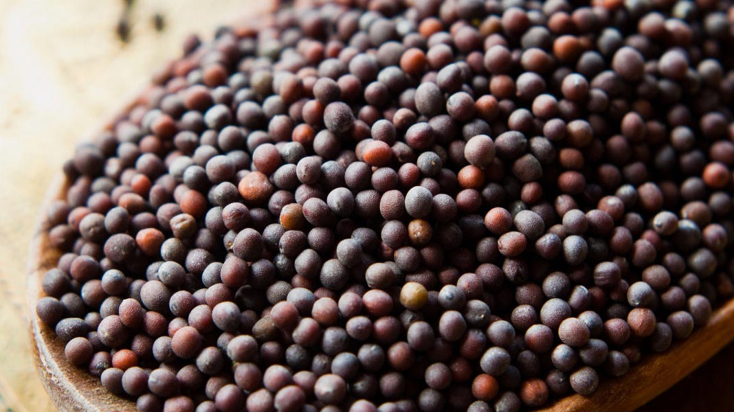 15 Amazing Ways to Use Mustard Oil for Hair, Skin, and Wellness - Elliotti