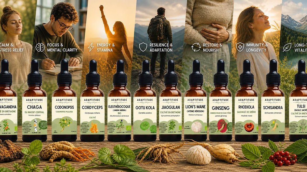 Adaptogen Guide - Elliotti