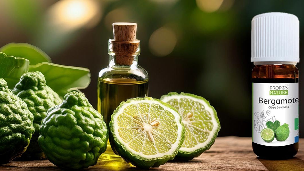 Bergamot - Benefits and usage tips - Elliotti
