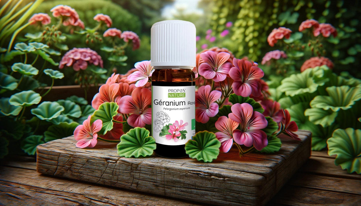 How to use Geranium Essential Oil? – Elliotti