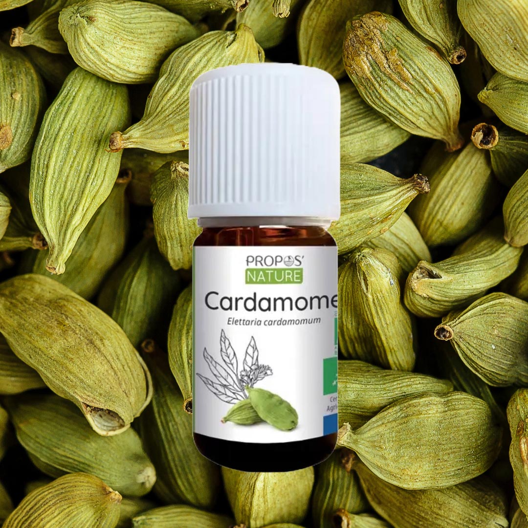 Bottle of Propolis Nature Cardamom oil surrounded by green cardamom pods