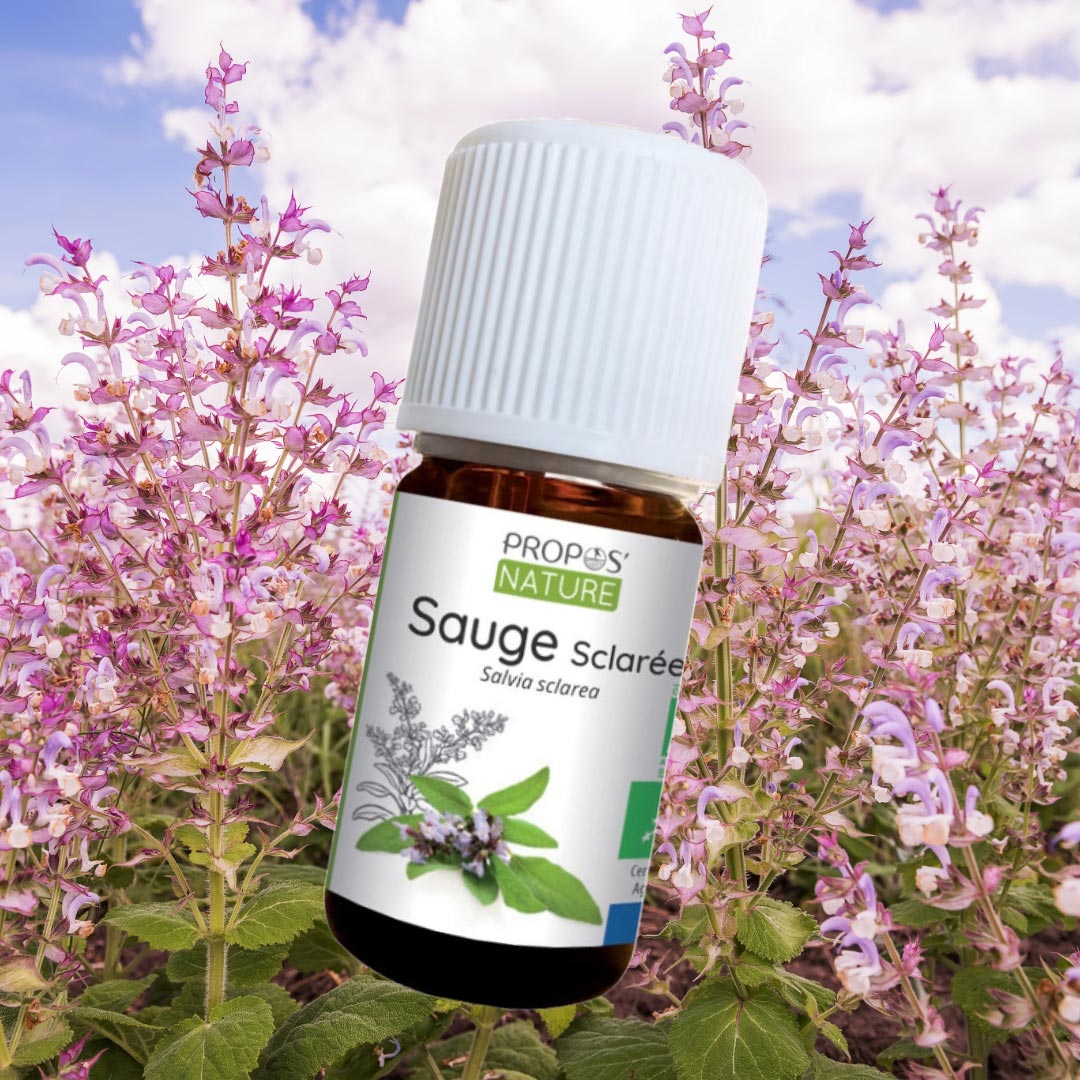 Propos'Nature Clary Sage Organic Essential Oil - Elliotti