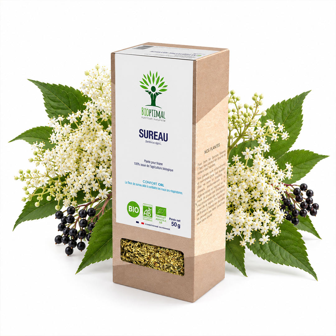 A 50g box of Bioptimal Sureau Elderflower infusion, styled with fresh elderberry leaves, white flowers, and dark elderberry berries on a clean white background.
