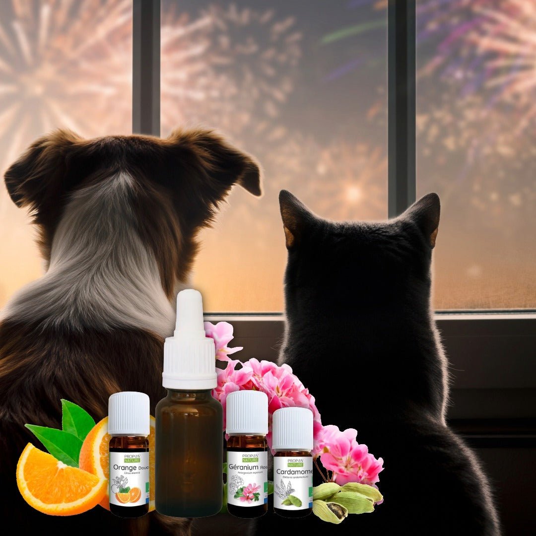 Elliotti Furry Friends Festive Blend - Elliotti