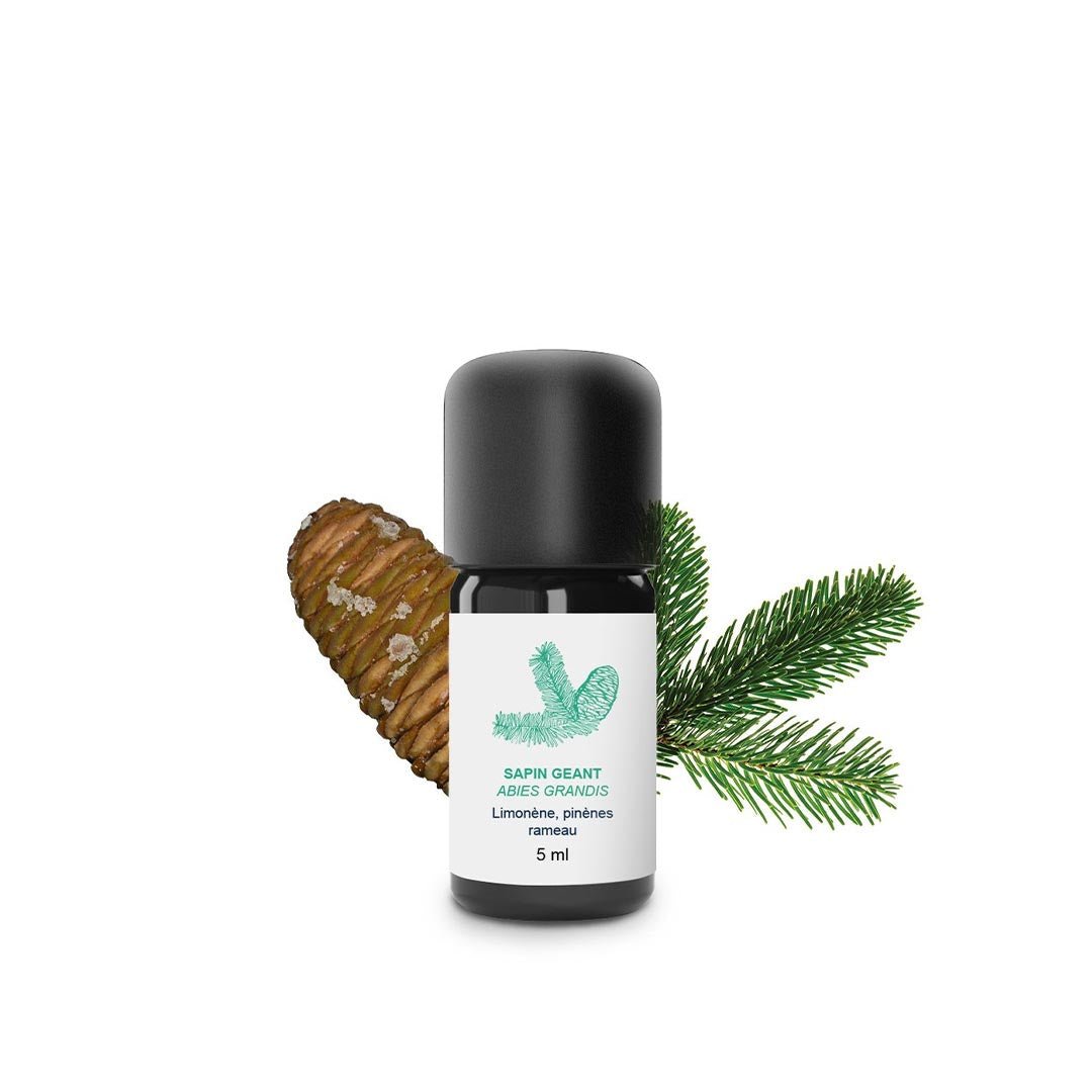 Essenciagua Giant Fir Organic Essential Oil, 5ml - Elliotti
