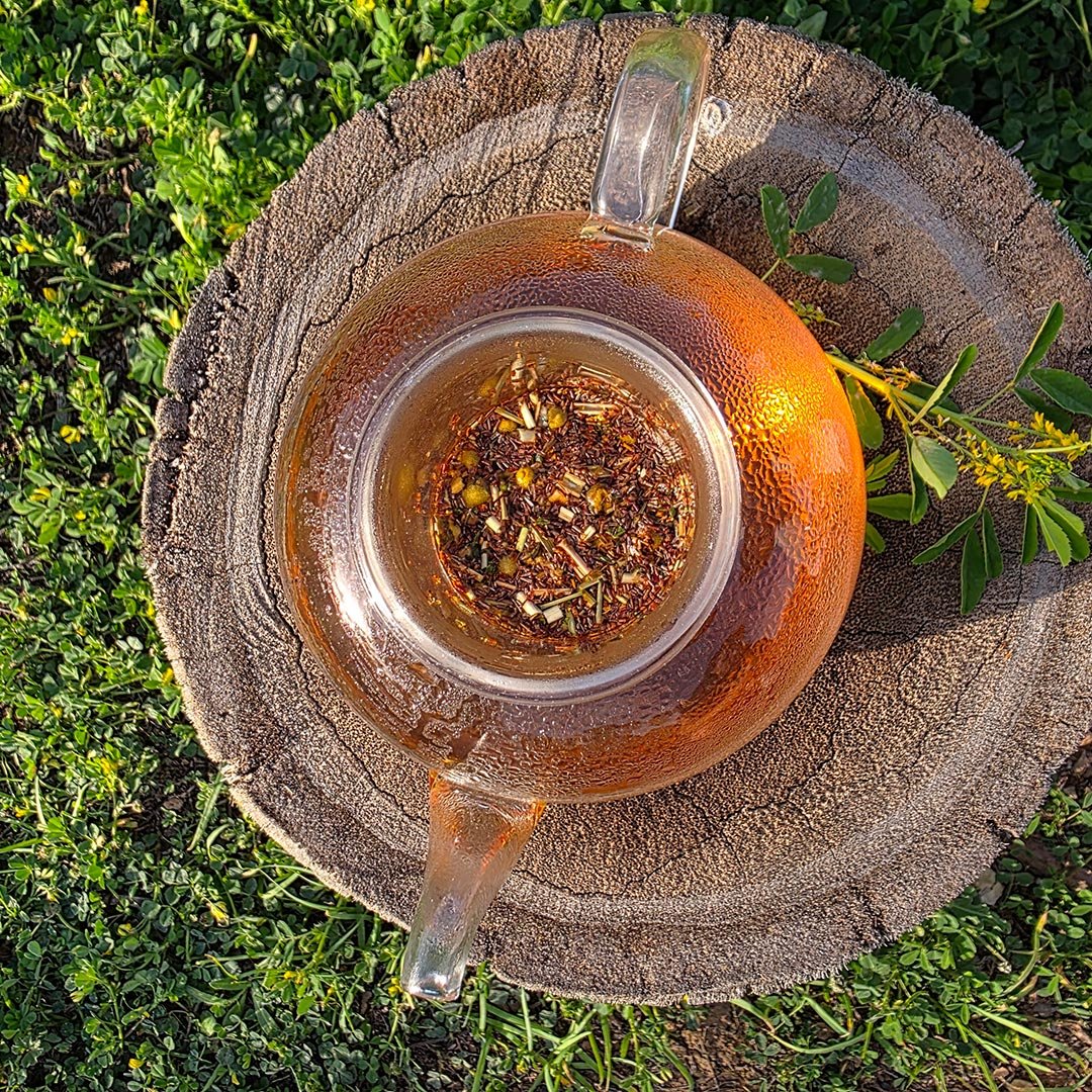 AW Artisan Glass teapot with infuser, 800ml - Elliotti