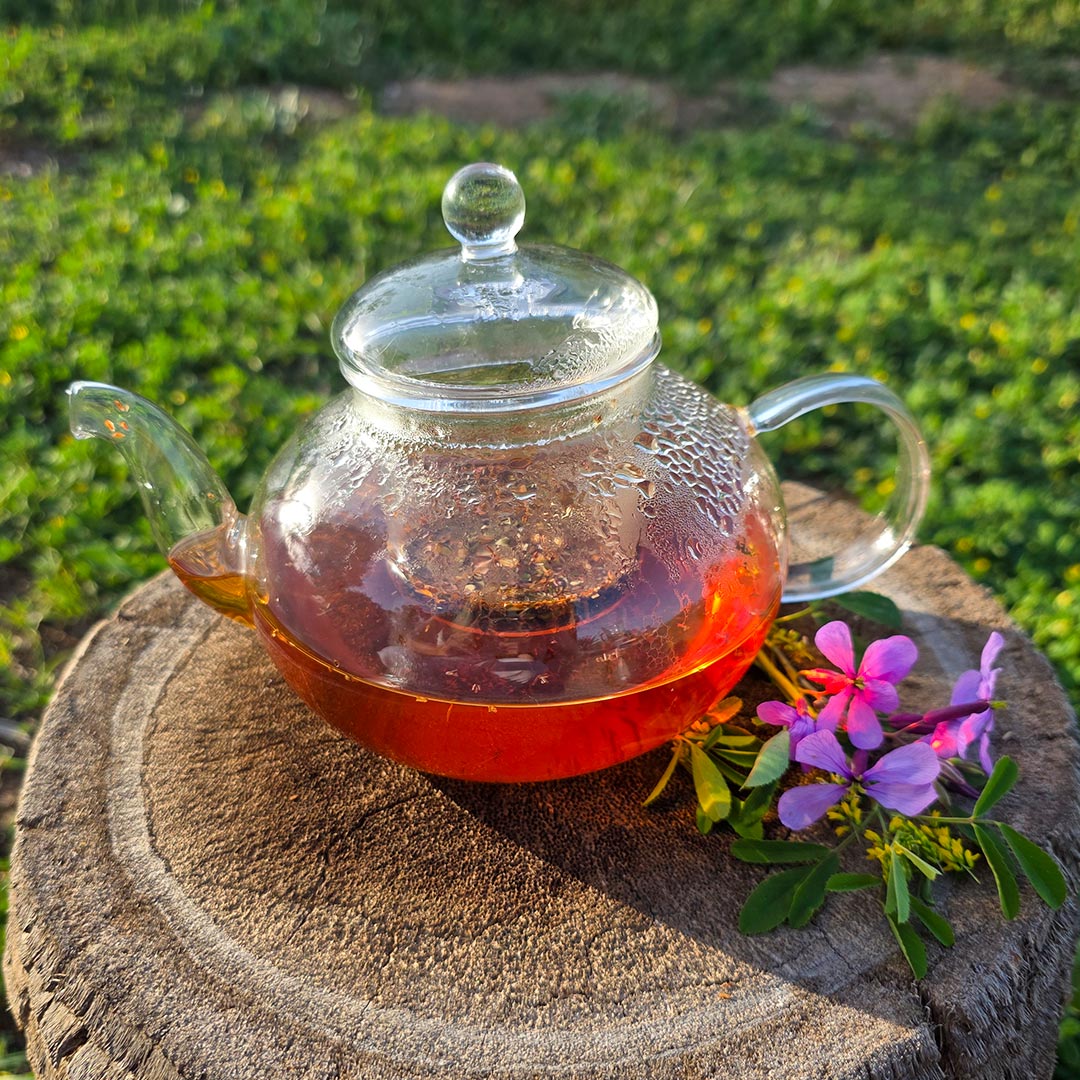 AW Artisan Glass teapot with infuser, 800ml - Elliotti