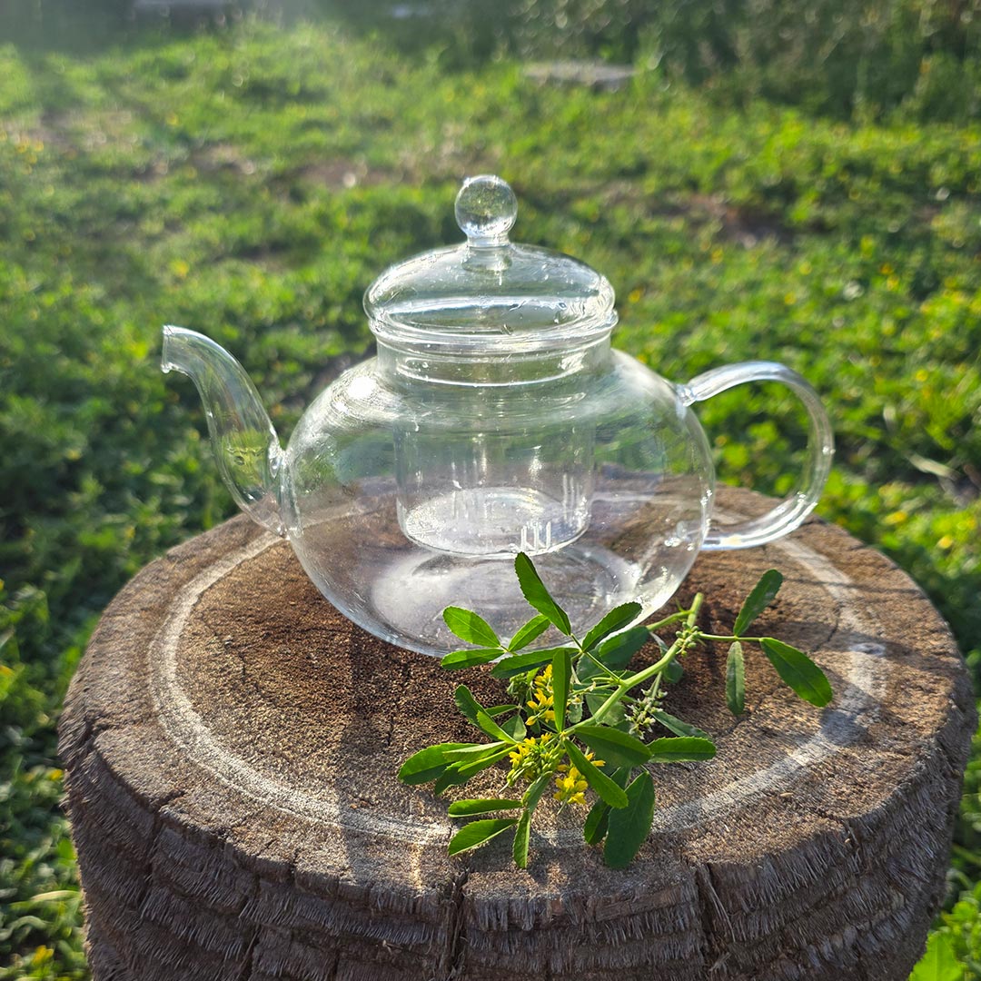 AW Artisan Glass teapot with infuser, 800ml - Elliotti