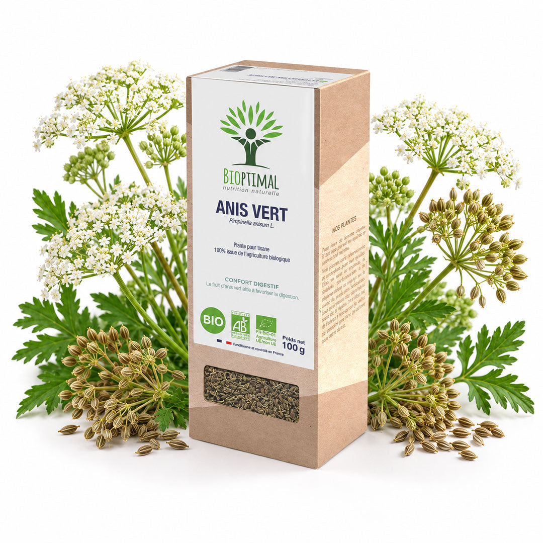 A box of Bioptimal Anis Vert herbal infusion, styled with fresh green herb leaves and white umbels on a clean white background.