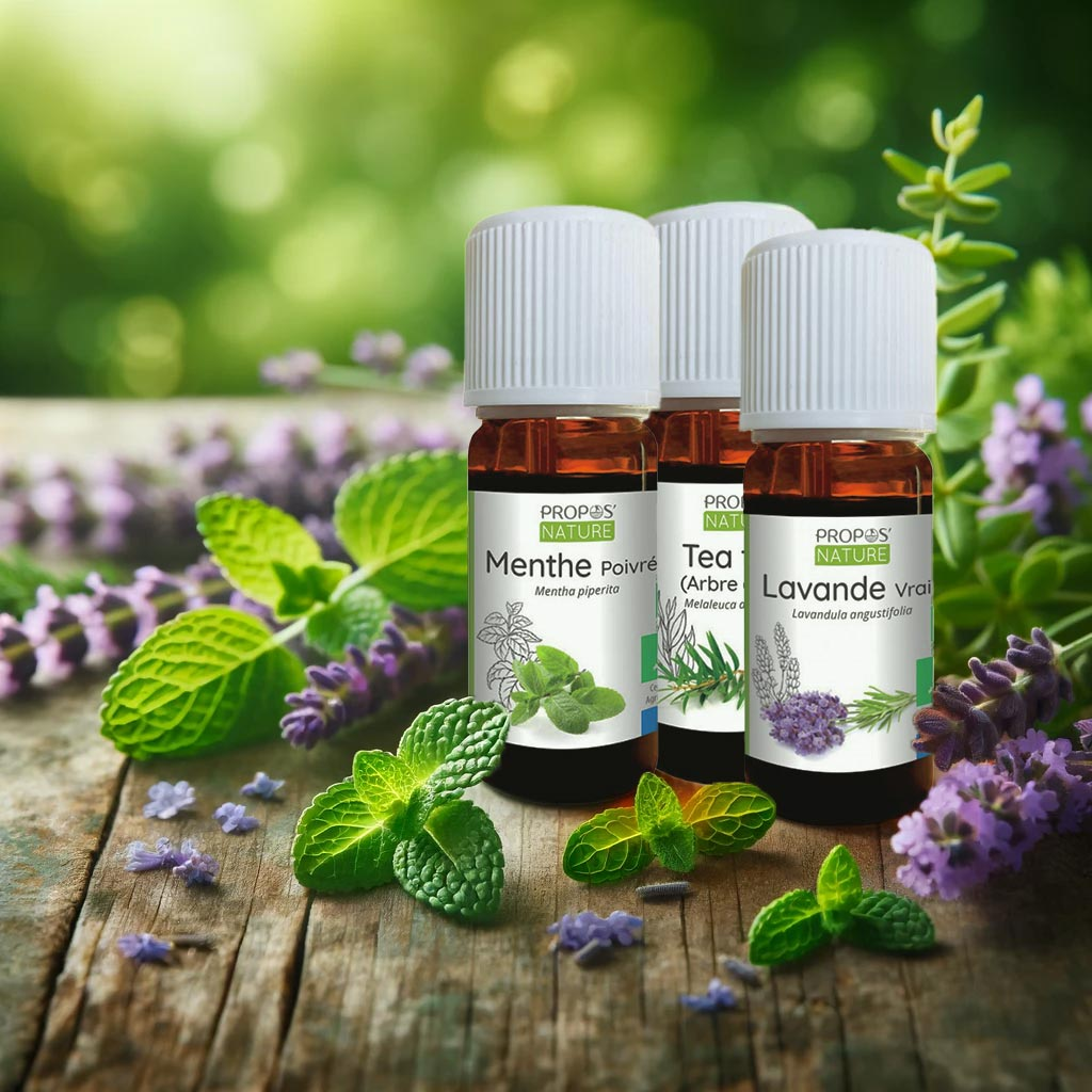 Banner - Single essential oils Peppermint, Tea tree and Lavender - Elliotti