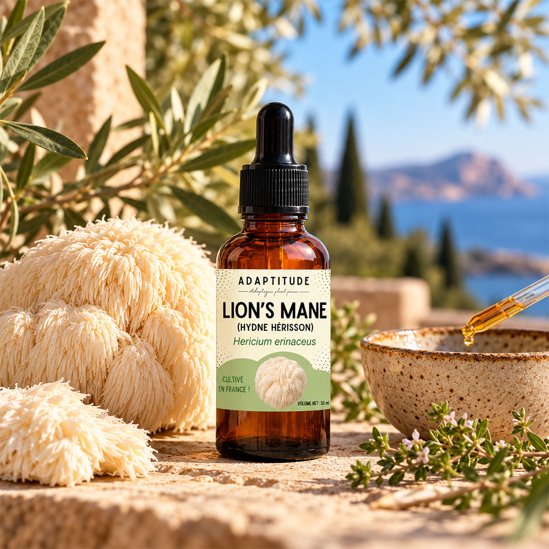 An amber glass dropper bottle labeled Adaptitude Lion's Mane stands on a stone surface outdoors, surrounded by lion's mane mushrooms, green leaves, a small bowl, and a glass pipette with liquid. The background shows blurred trees and blue water/sky.