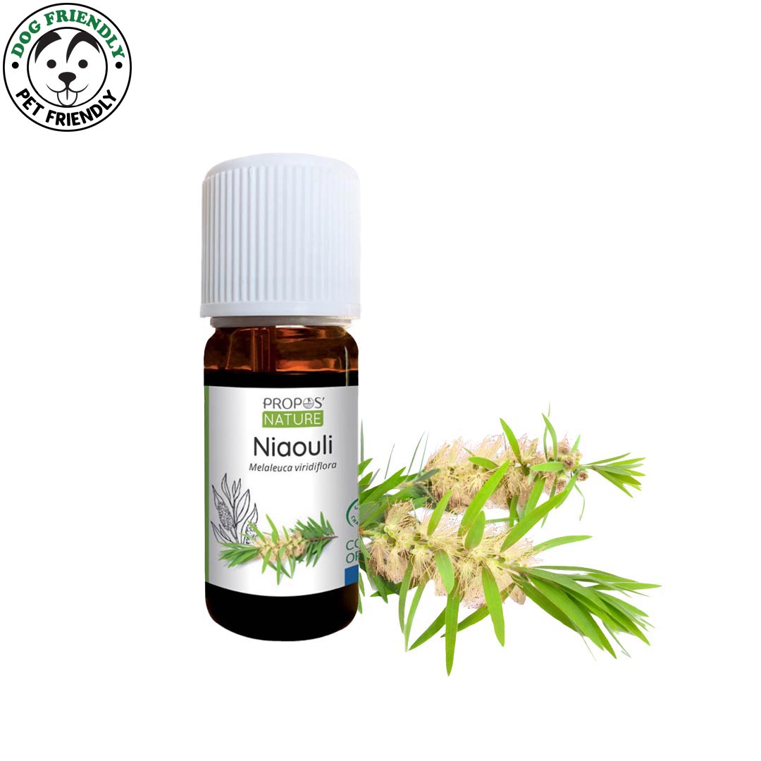 Niaouli Organic Essential Oil, 10ml - safe to diffuse around dogs- Elliotti