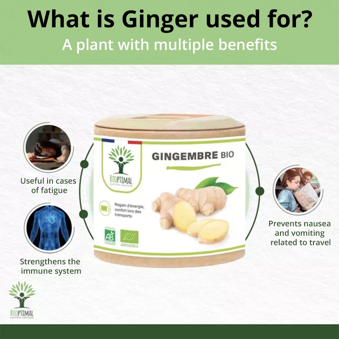 Bioptimal Organic Ginger Powder, 200 capsules - Elliotti