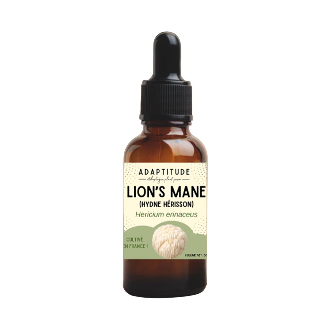 Adaptitude Organic Lion's Mane Extract, 50 ml - Elliotti