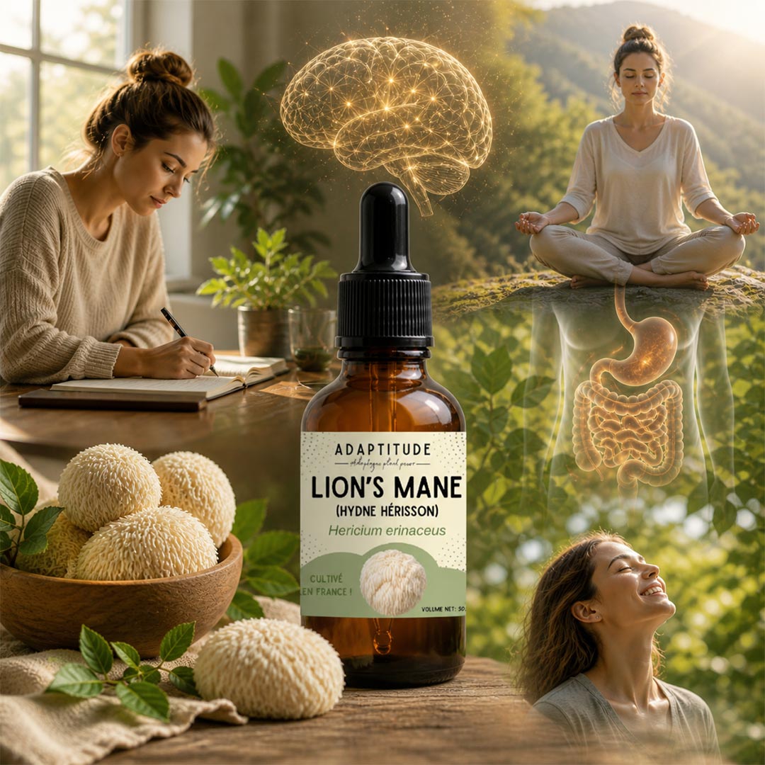 Adaptitude Organic Lion's Mane Extract, 50 ml - Elliotti