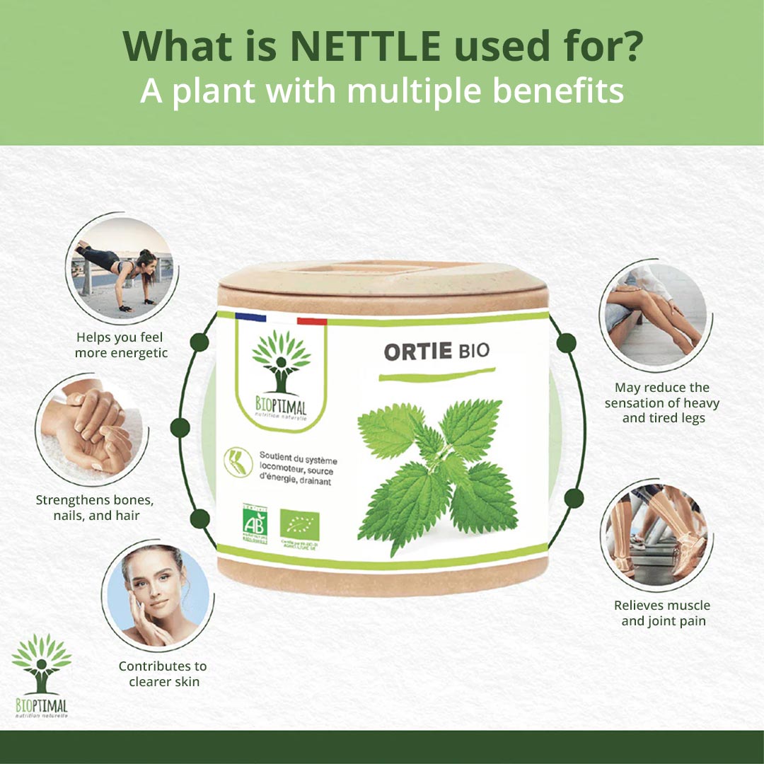 Bioptimal Organic Nettle, 60 capsules - Elliotti