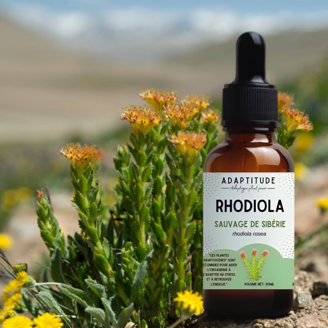 Adaptitude Organic Rhodiola Extract, 50 ml - Elliotti