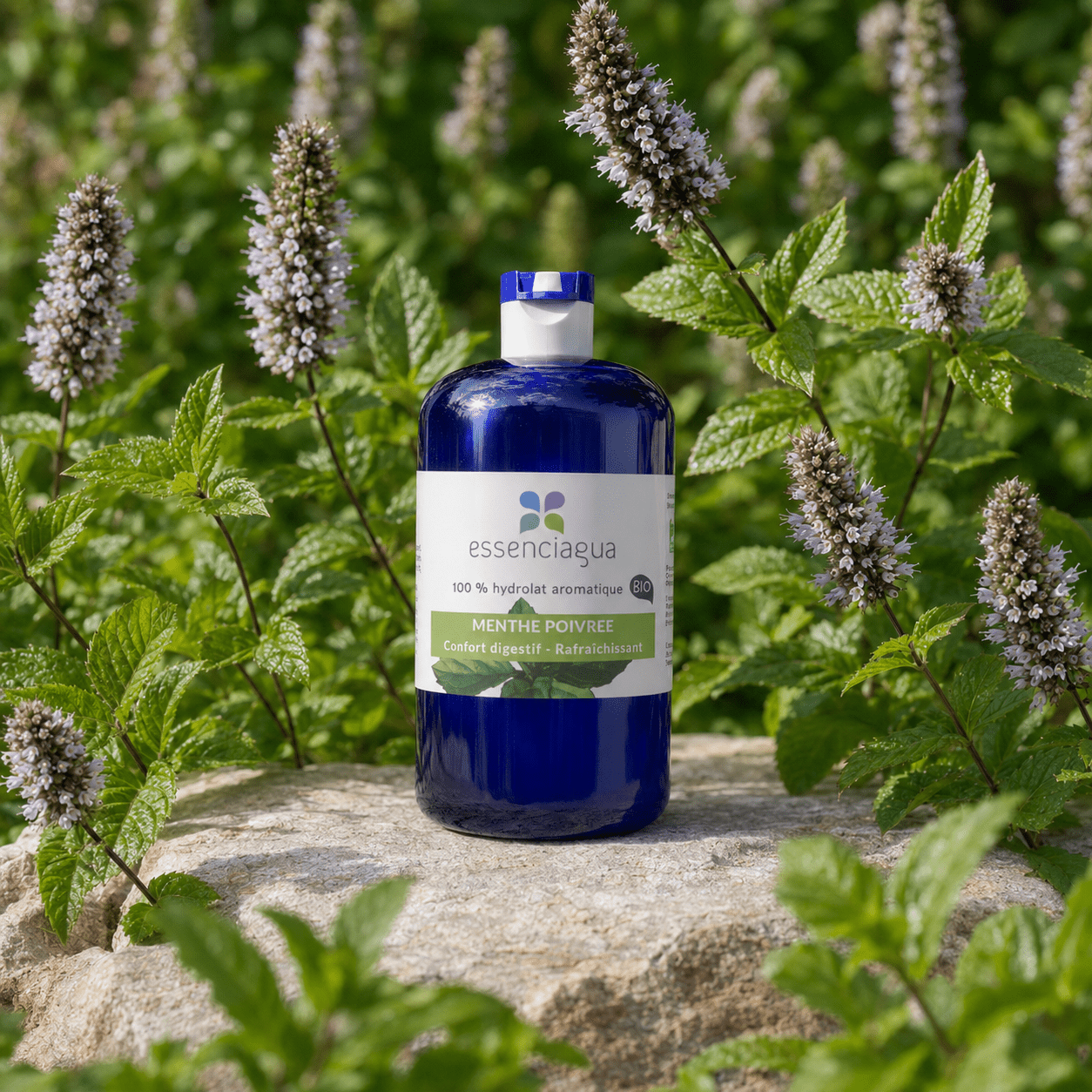 Essenciagua Peppermint Organic Hydrosol, 250ml - Elliotti
