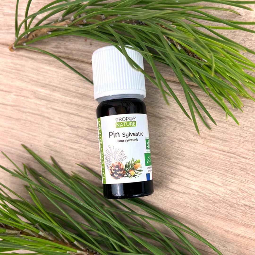 Propos'Nature Pine Scots Organic Essential Oil, 10ml - Elliotti