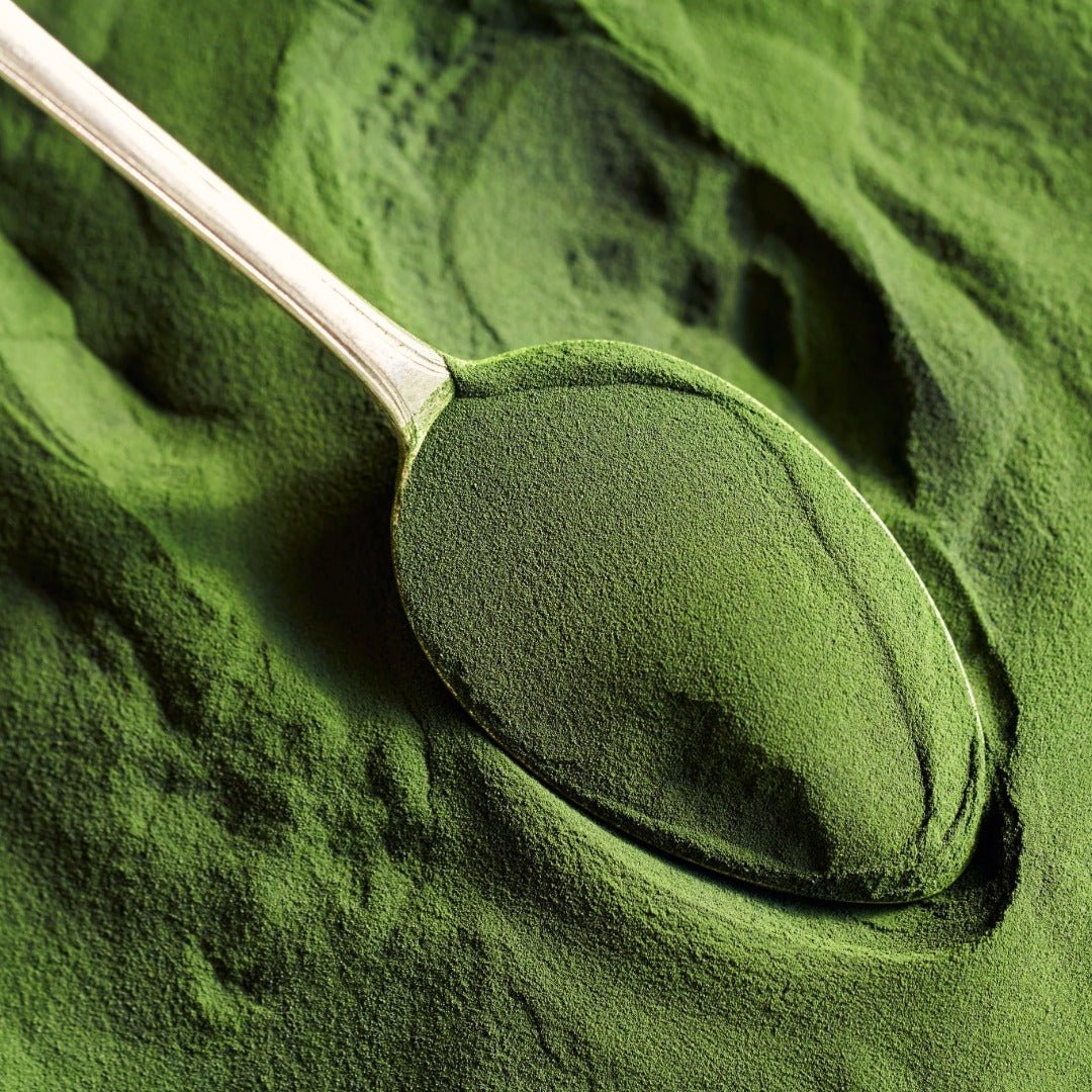 Propos'Nature POE No. 9 Chlorella, 100ml - Elliotti