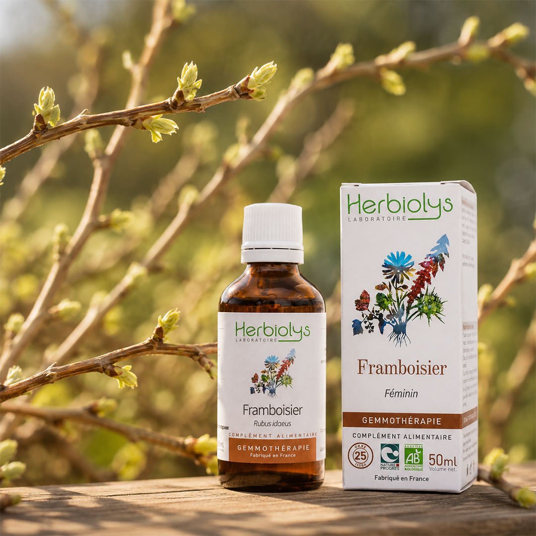 Herbiolys Raspberry Organic Bud Extract, 50 ml - Elliotti
