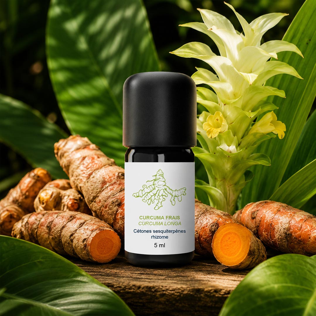 Essenciagua Turmeric Organic Essential Oil, 5ml - Elliotti