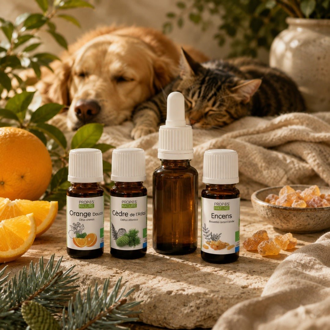 Elliotti Winter Wonderland Essential Oil Blend - Elliotti