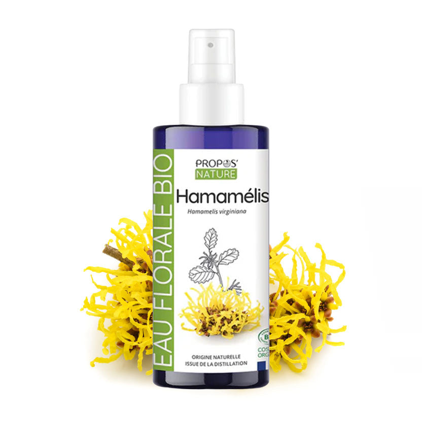 A bottle of Propos Nature Witch hazel hydrosol spray, flanked by yellow Hamamélis flowers on a white background.