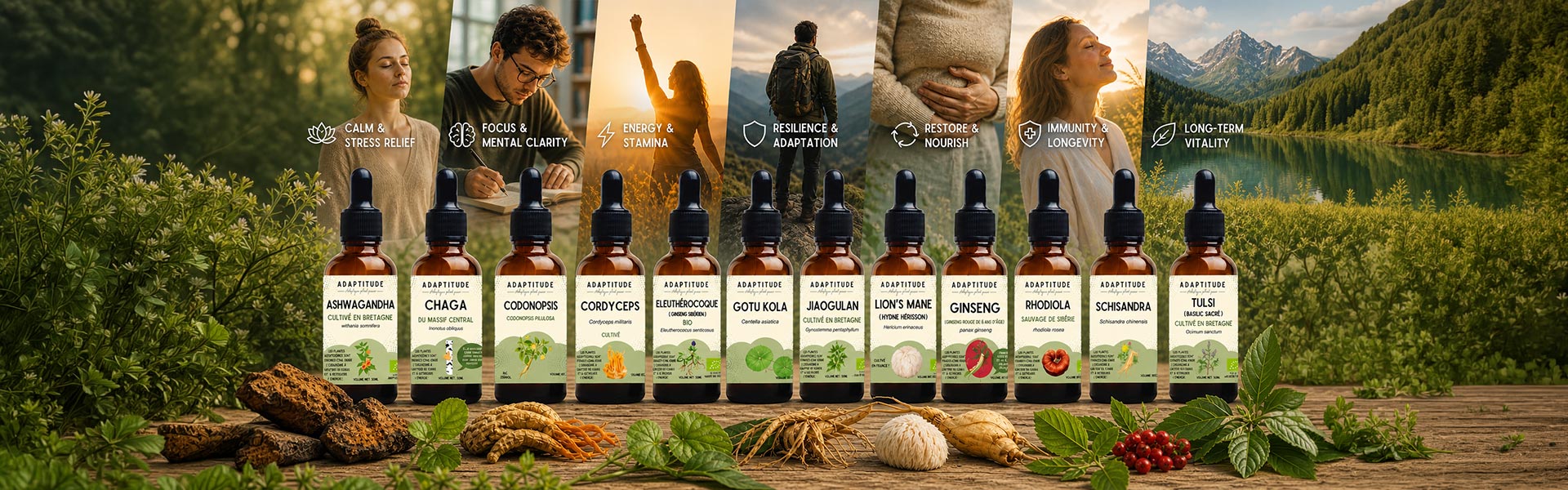 Adaptogen Guide - Elliotti