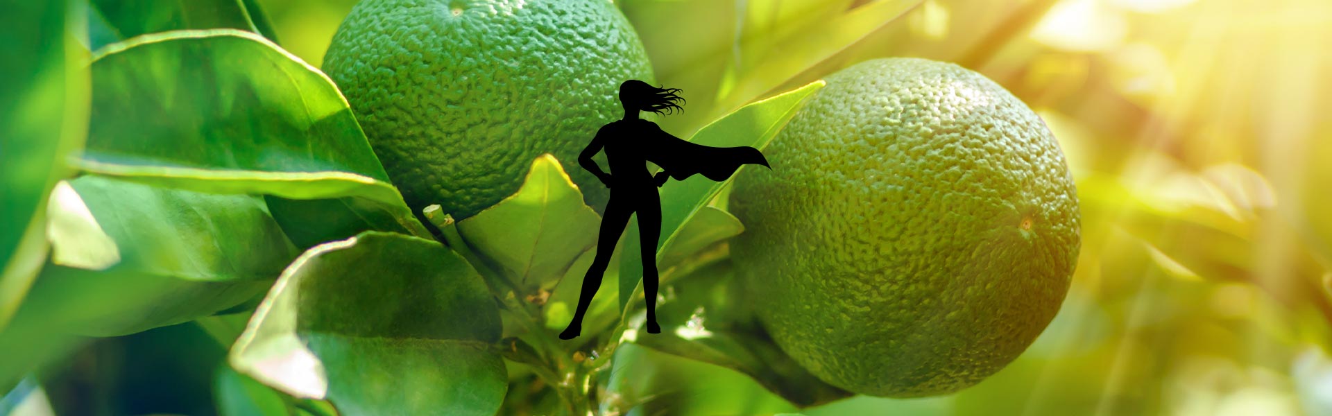 Creative ways using Green Mandarin Essential Oil - Elliotti