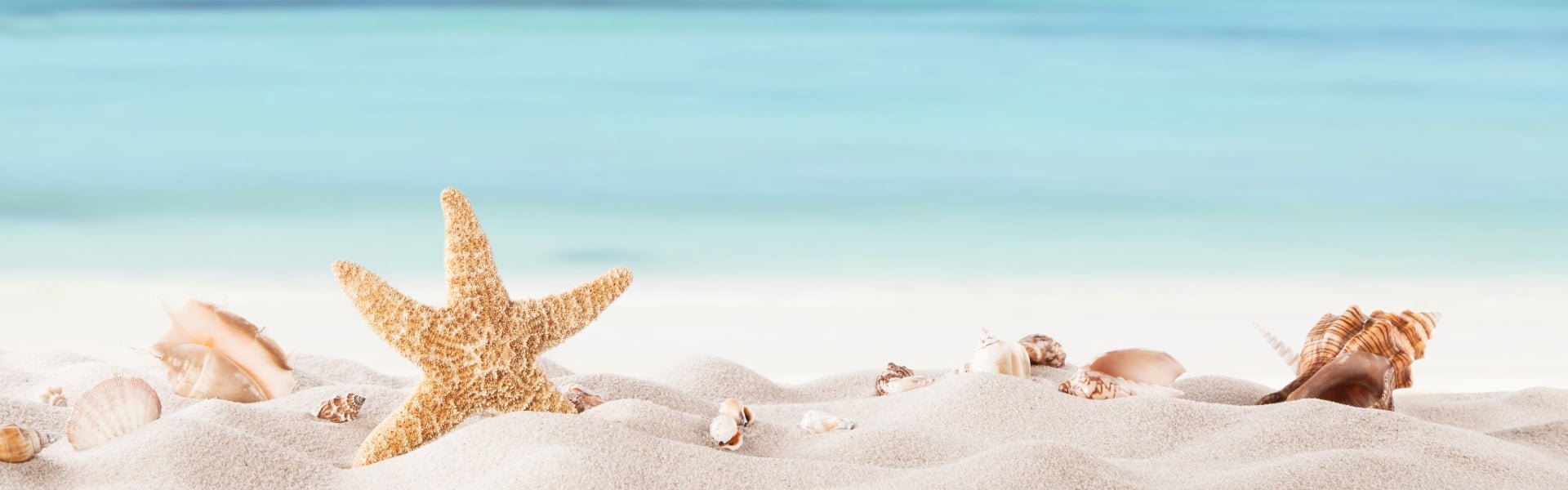 Sun Safe, Earth Safe: Organic Plant-Based Sun Care - Elliotti