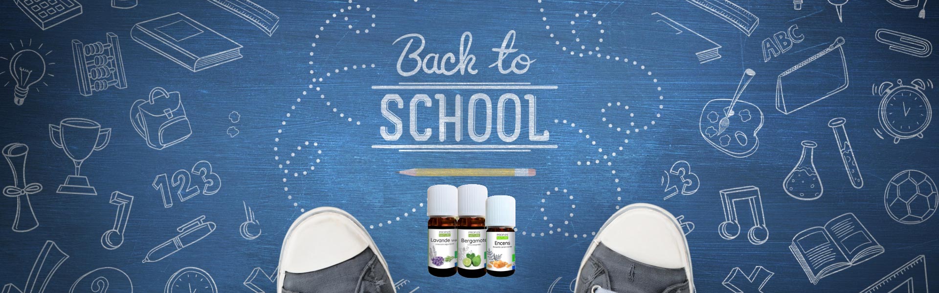 Your Guide to Back-to-School Success with Aromatherapy - Elliotti