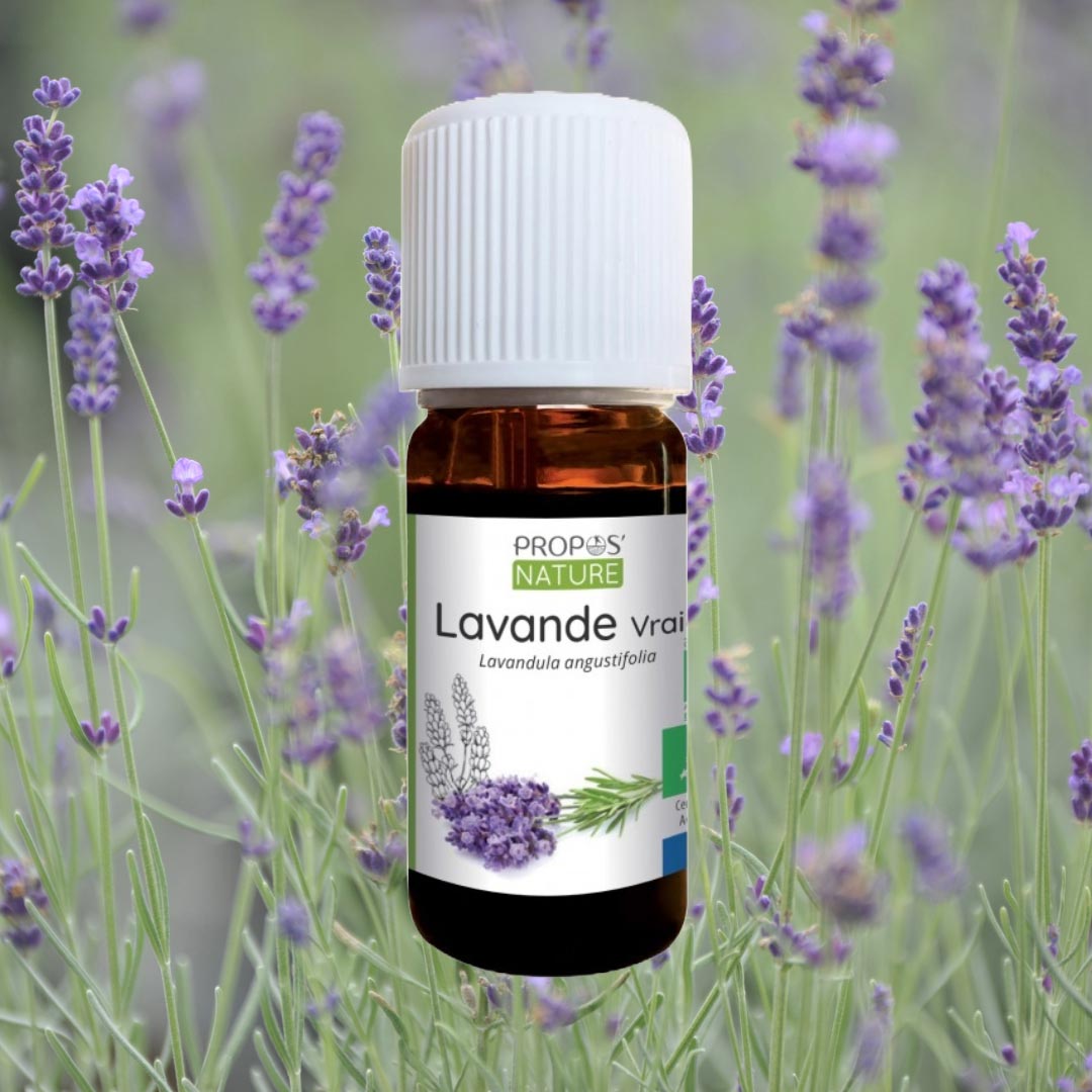 Lavender essential oil - Elliotti