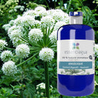 Essenciagua Angelica Organic Hydrosol, 250ml - Elliotti