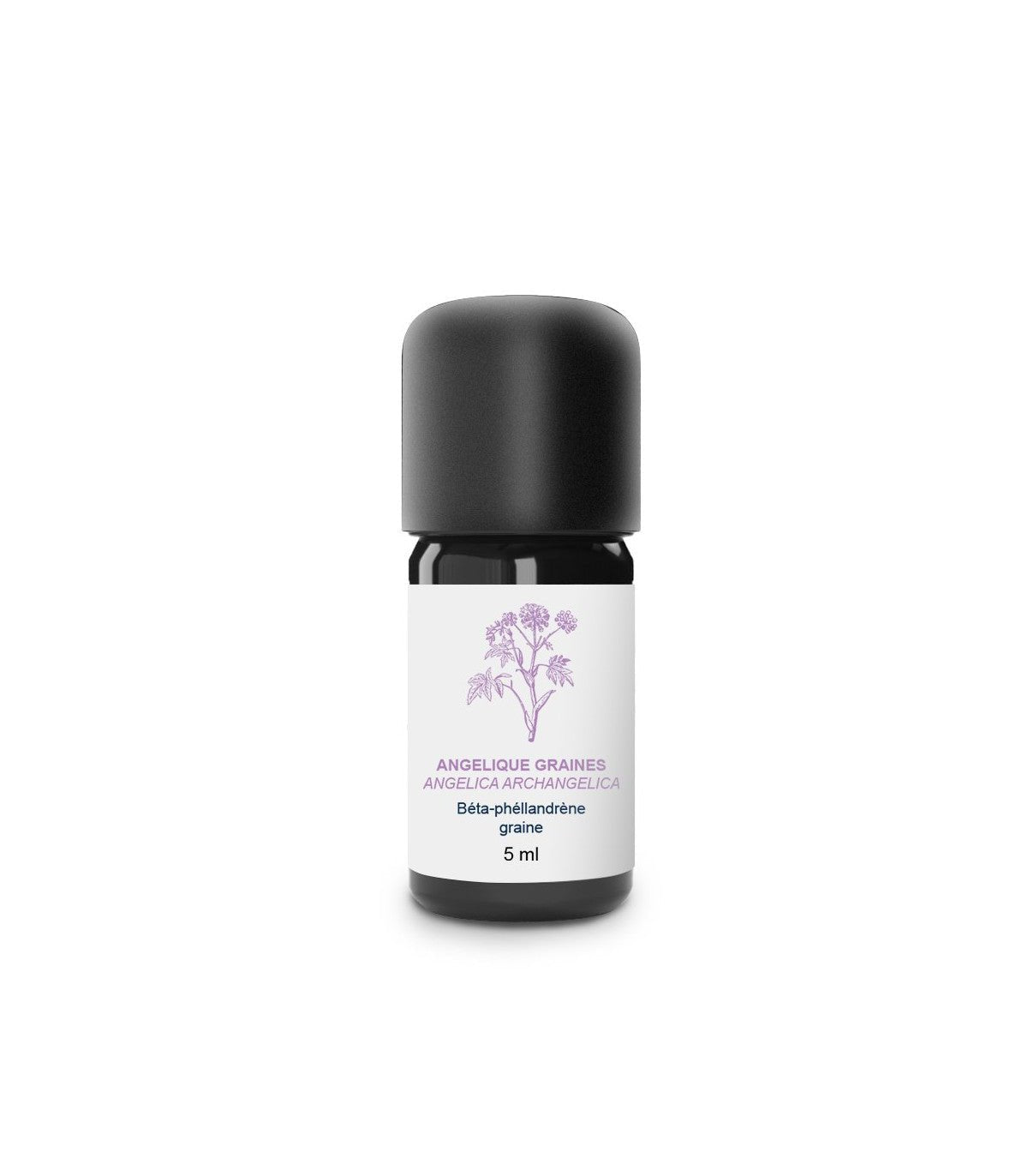 Essenciagua Angelica Seeds Organic Essential Oil, 5ml - Elliotti
