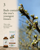 Herbiolys Apple Organic Bud Extract, 50 ml - Elliotti
