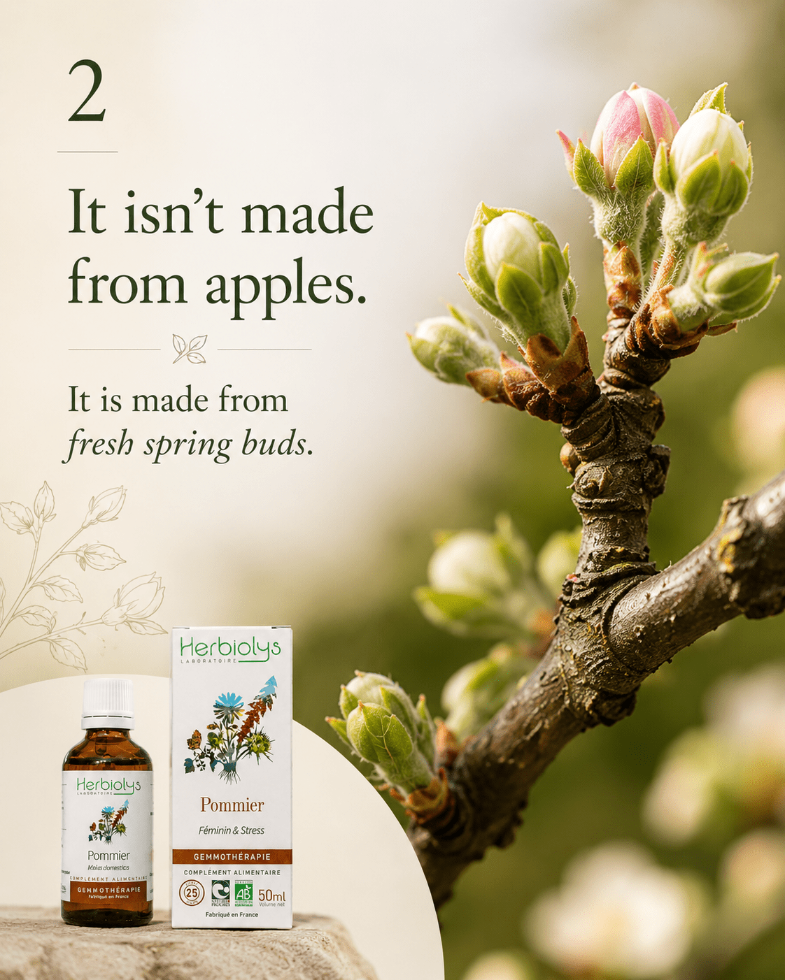 Herbiolys Apple Organic Bud Extract, 50 ml - Elliotti