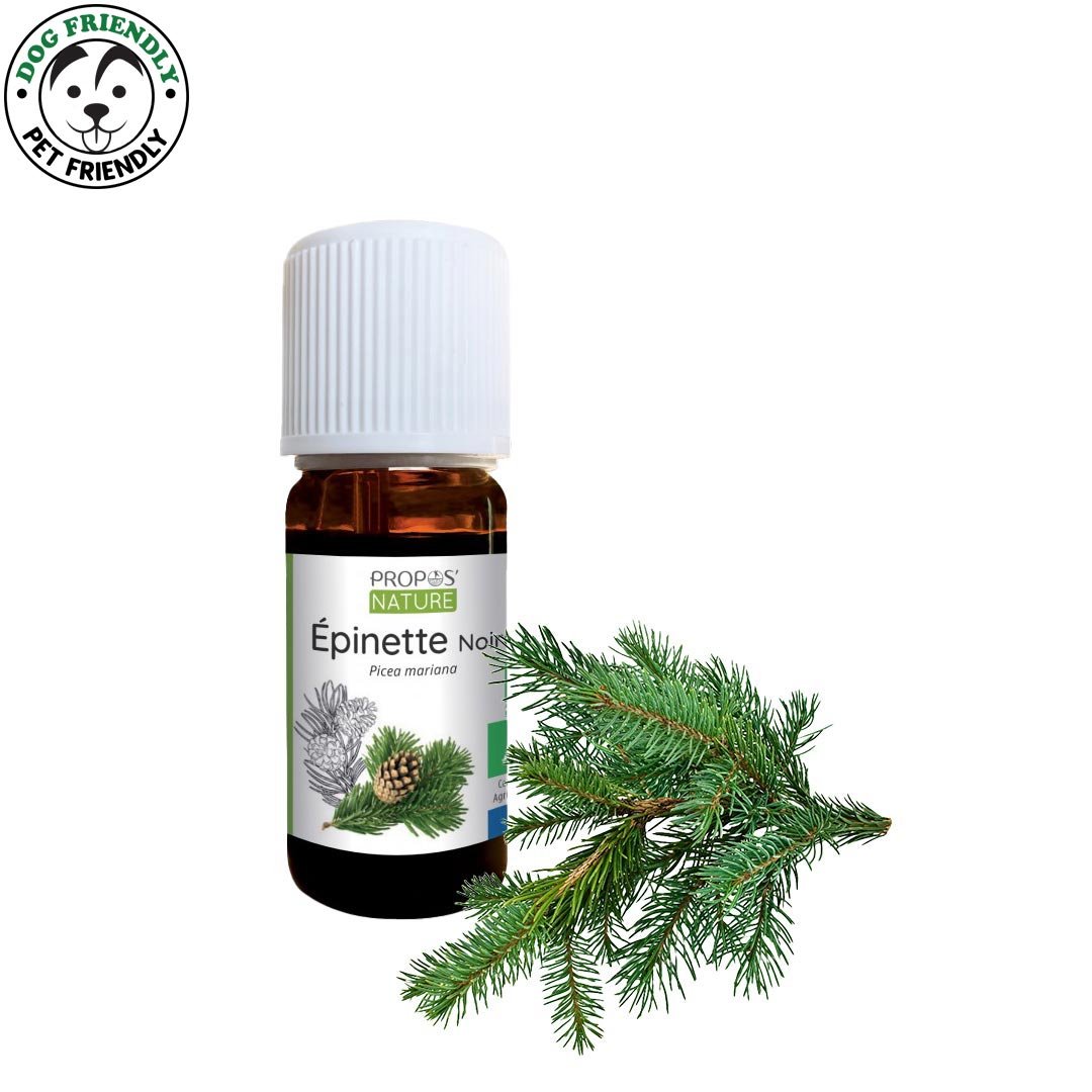 Propos'Nature Black Spruce Organic Essential Oil, 10ml - Elliotti