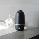 Innobiz BO BLACK Nebuliser Diffuser - Elliotti