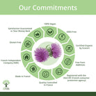 Diagram of commitments with purple flowers of Burdock  in the center on a green background