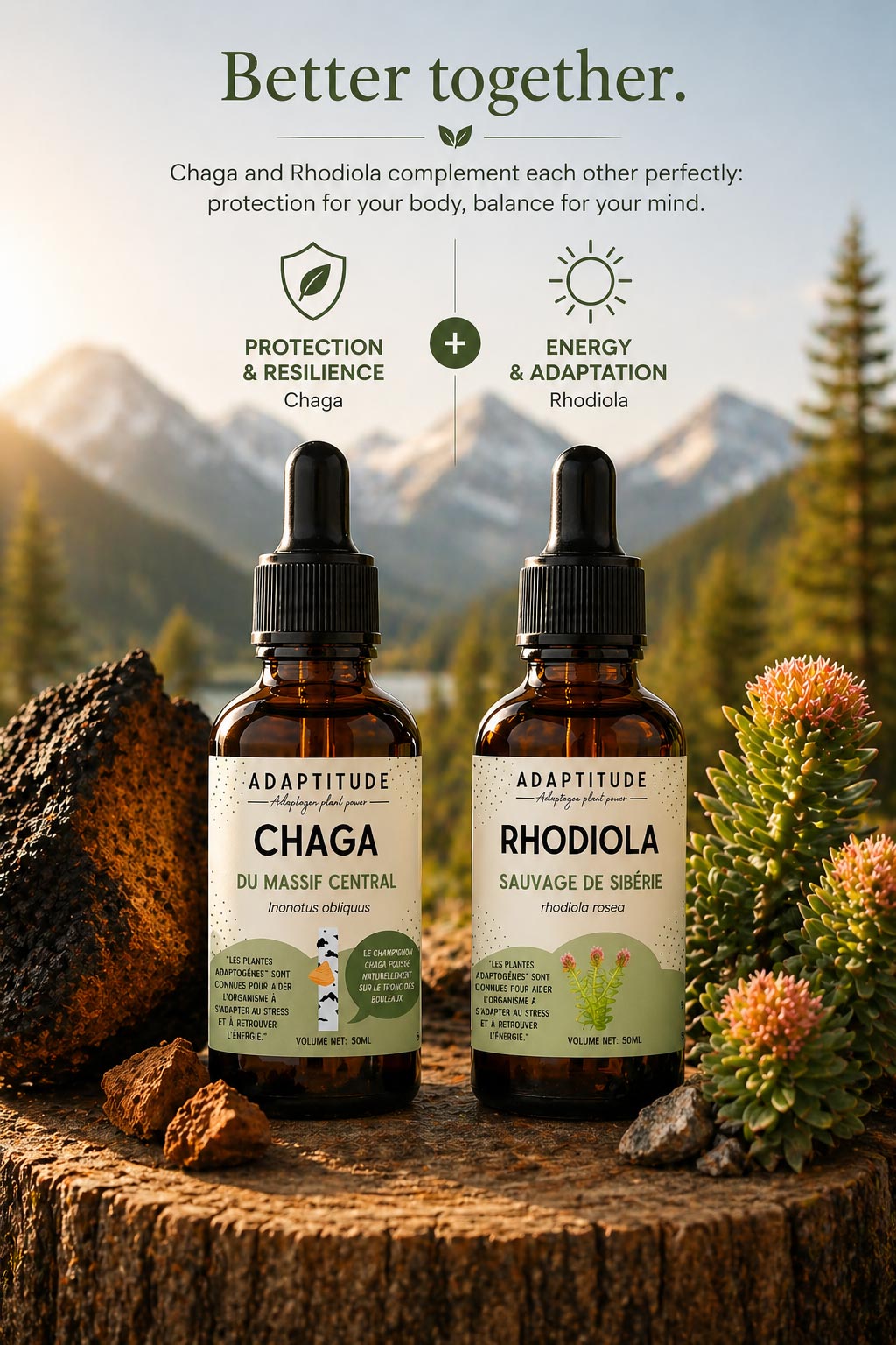 Two bottles of Adaptitude Chaga and Rhodiola with natural elements on a wooden surface and mountain background.