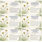 Elliotti Chamomile Evening Ritual - Elliotti