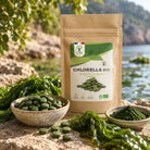 A stand-up kraft paper pouch labeled CHLORELLA BIO stands on a rocky beach with seaweed and bowls of green tablets and green powder in the foreground. The product appears to be a supplement or powder derived from chlorella, shown in a real outdoor coastal environment.