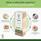 Bioptimal Dandelion Organic Infusion, 30g - Elliotti