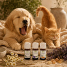 Elliotti DIY Diffuser Blend - De-Stress - Elliotti