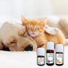 Elliotti DIY Diffuser Blend - De - Stress - Elliotti