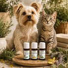 Elliotti DIY Diffuser Blend - Paw Focus - Elliotti