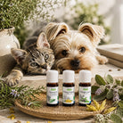 Elliotti DIY Diffuser Blend - Paw Focus - Elliotti