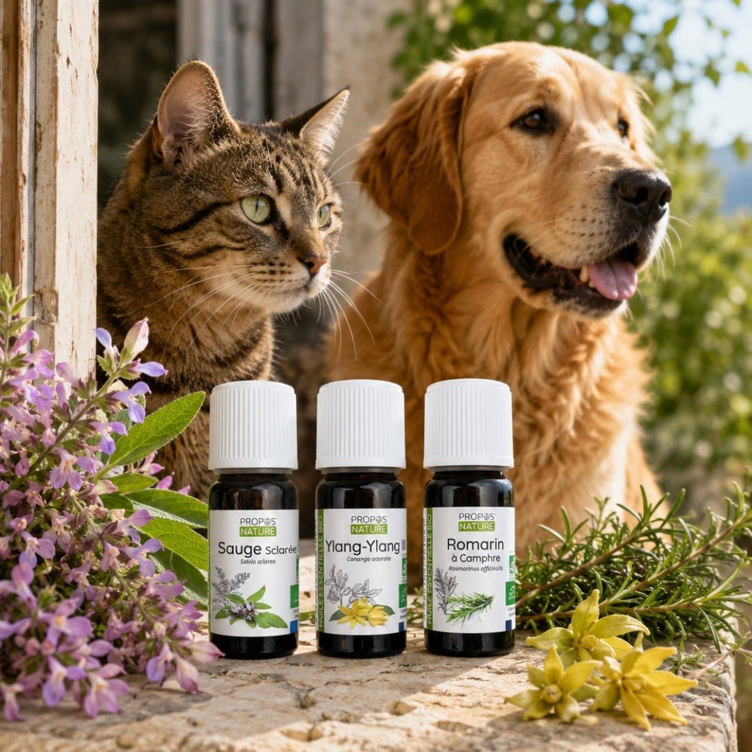 Elliotti DIY Diffuser Blend - Paw Focus - Elliotti