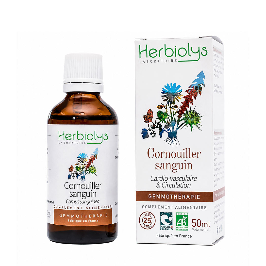 A bottle of Herbiolys Cornouiller sanguin (Dogwood) next to its white product packaging box, displayed on a clean white background.